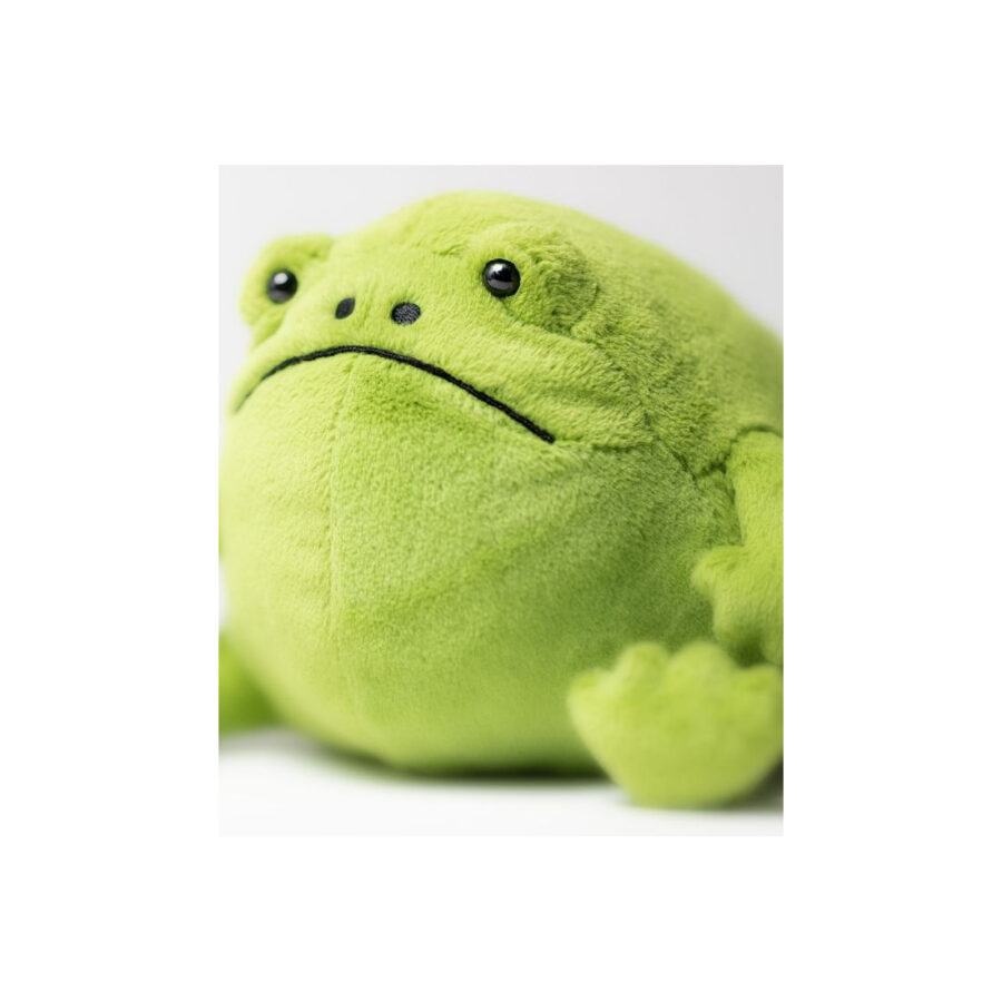 Jellycat Deszczowa Żaba Ricky 17 cm - obrazek 4