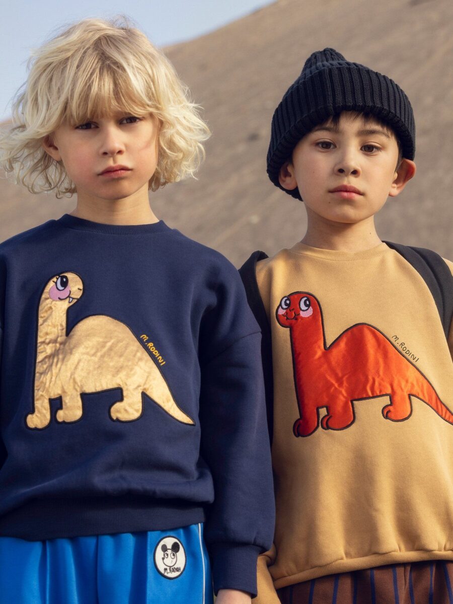 Mini Rodini Bluza Dino Application Blue - obrazek 7