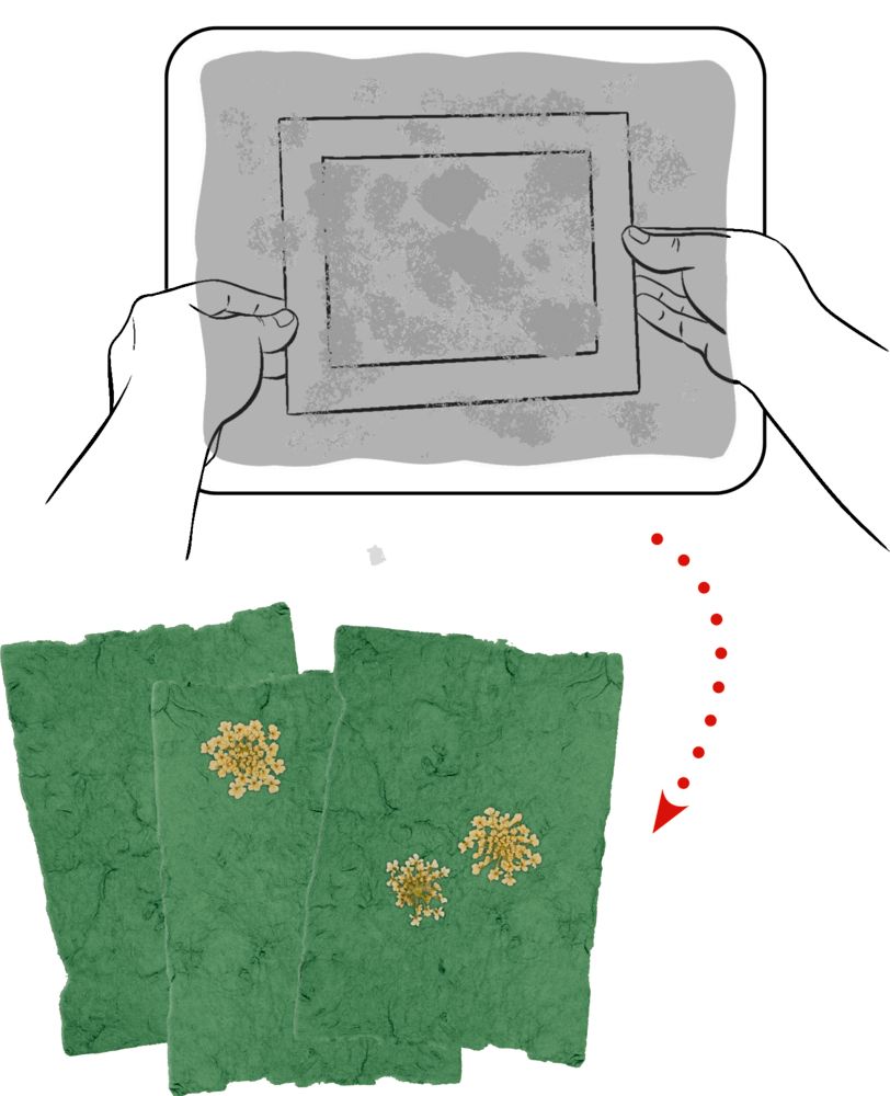 Spiegielburg Zestaw DIY Z Papieru - obrazek 3