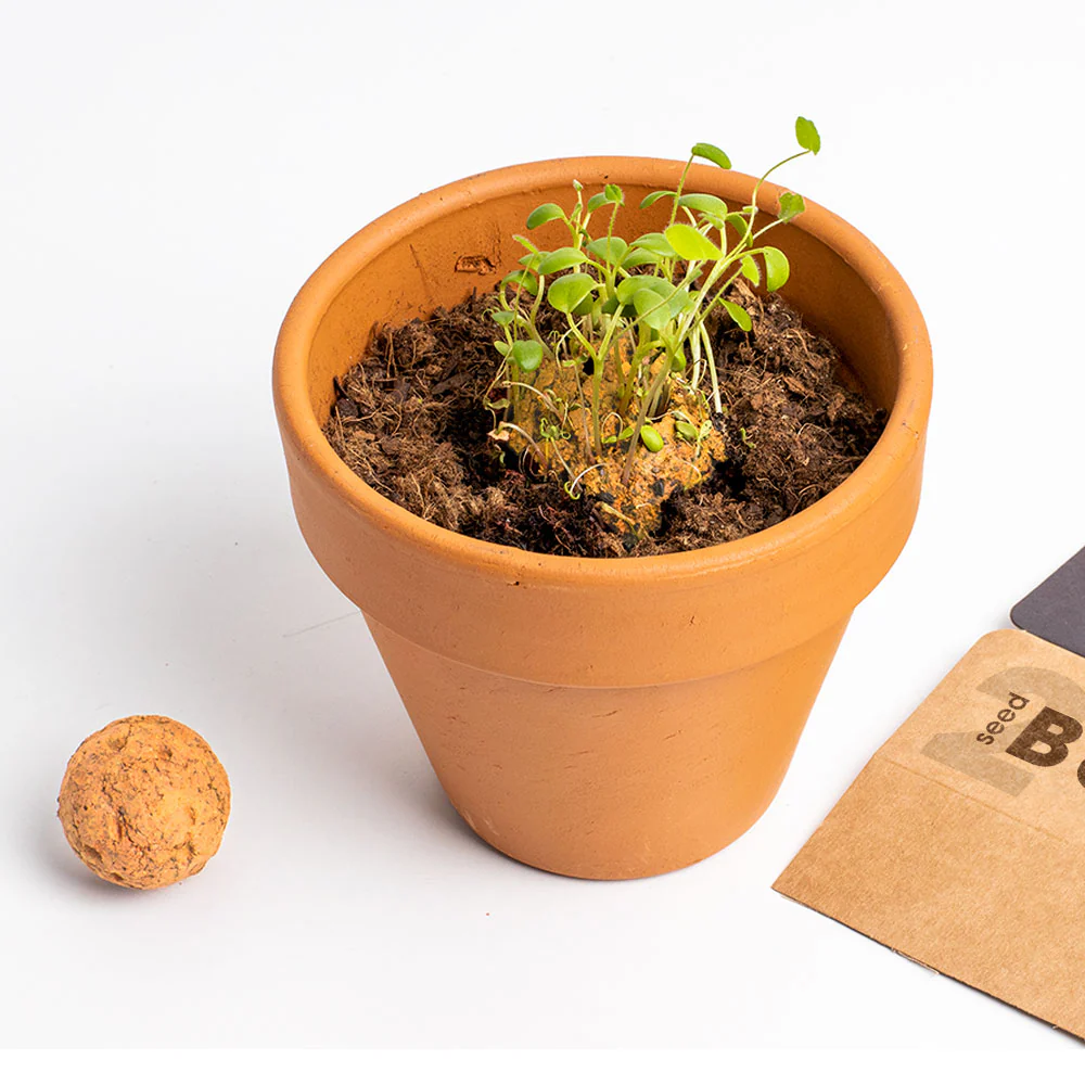 The Bees Resetea Zestaw 2 Bomb Kwiatowych Wild Orange Flowers - obrazek 4